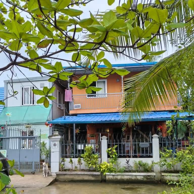 မြောက်ဒဂုံမြို့နယ်